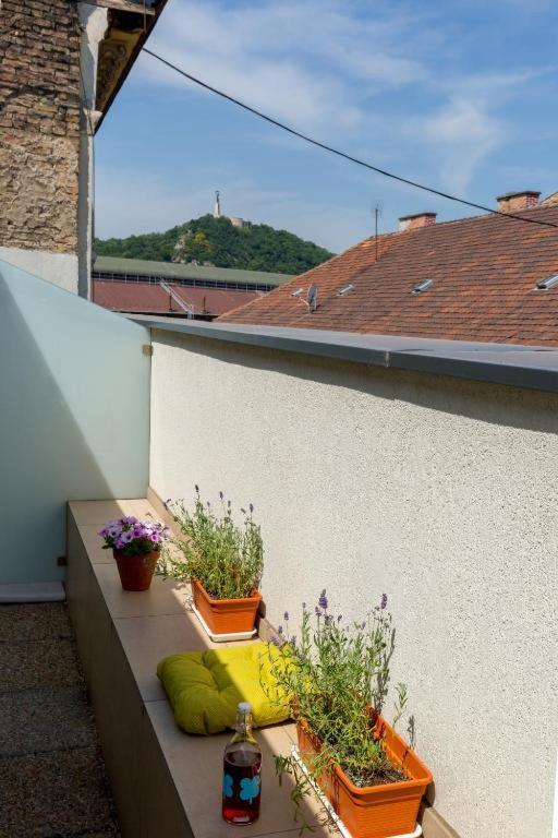 Apartman Erkel Rooftop *