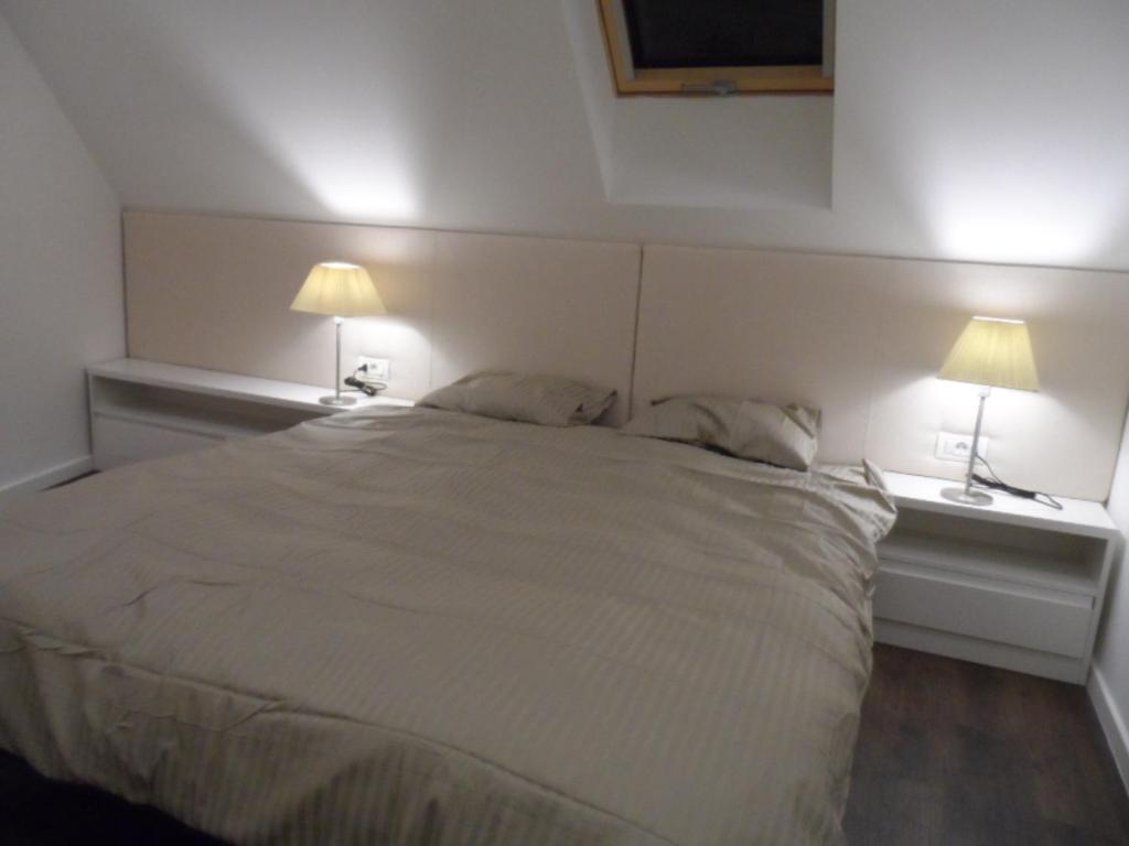 Erkel Rooftop Apartament